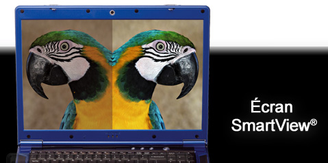 Ecran SmartView
