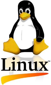 SANTIANNE - Clevo NL40MU2 avec Ubuntu, Fedora, Debian, Mint ou Redhat