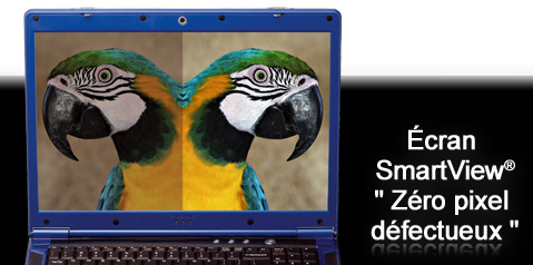 Ecran zéro pixel défectueux